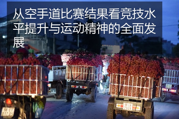 从空手道比赛结果看竞技水平提升与运动精神的全面发展